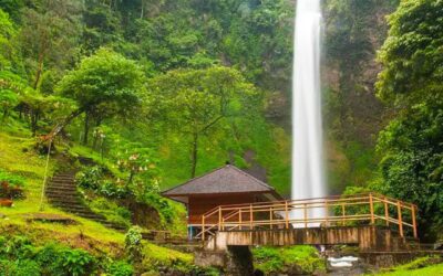 إندونيسيا 8 ايام 7 ليالي ⭐ ⭐ ⭐ ⭐